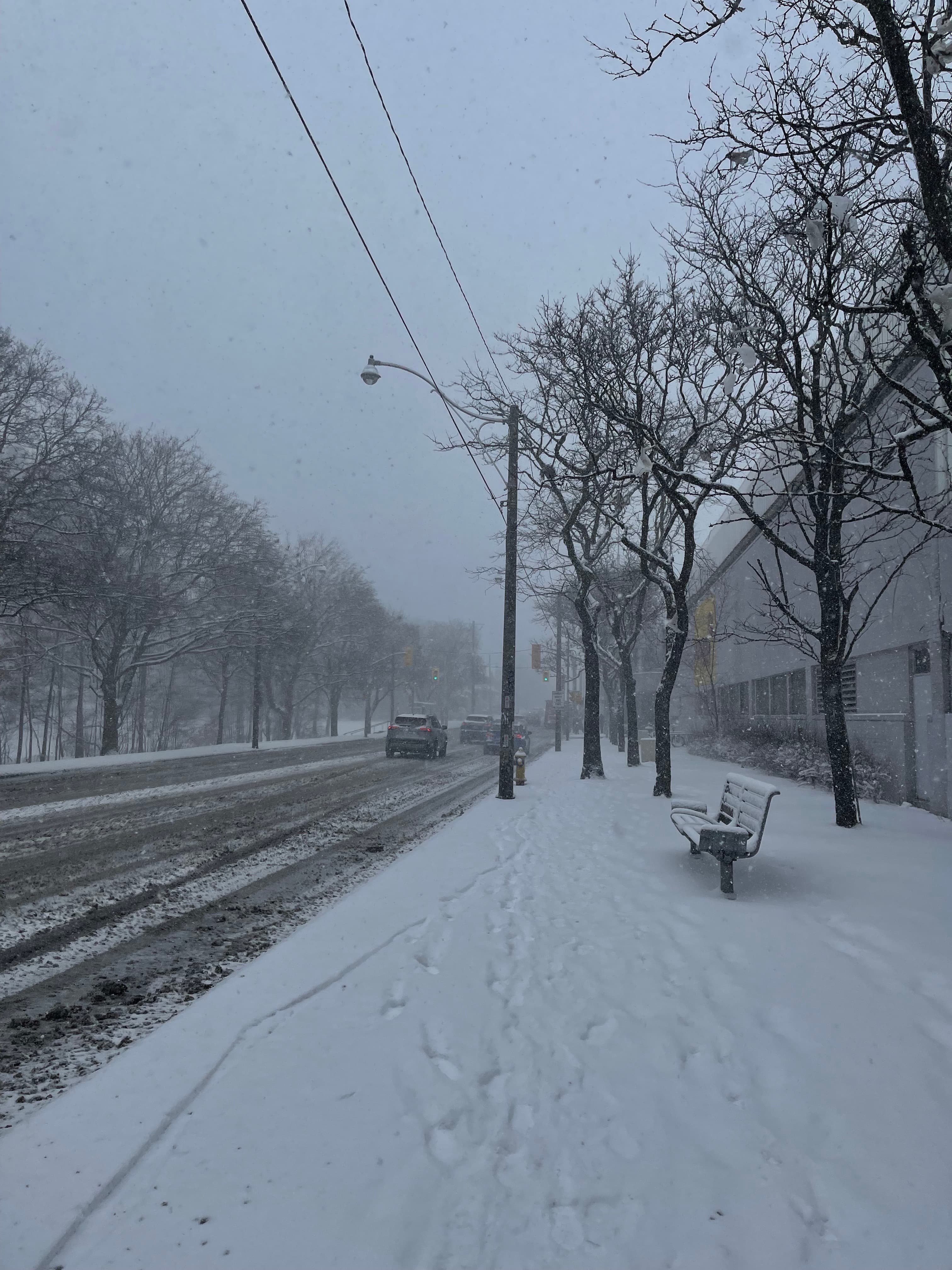 A west-end Toronto street in winter — snow, bare trees, an empty bench, cars passing, few people.